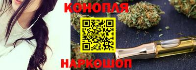 спиды Дубна