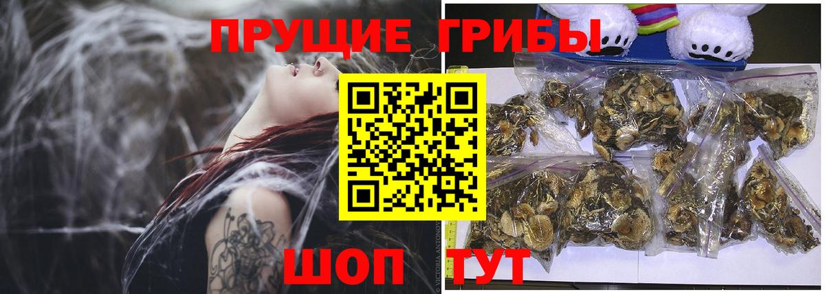 Галлюциногенные грибы Psilocybe  Галлюциногенные грибы GOLDEN TEACHER  Вход с VPN  Ульяновск 